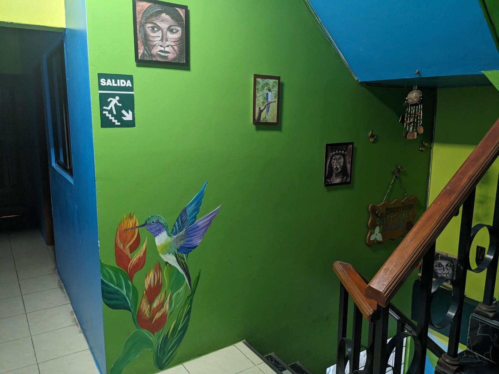Amazon Dream Hostel With Ac And Starlink イキトス エクステリア 写真